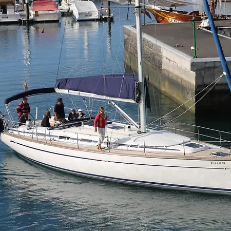 Excursion Ballenas Y Delfines Mojo Picon