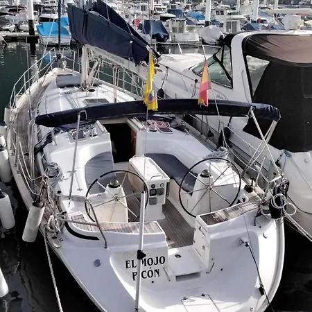 Excursion Ballenas Y Delfines Mojo Picon * Acantilado de los Gigantes